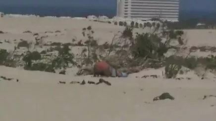 seksi köylü porno konulu